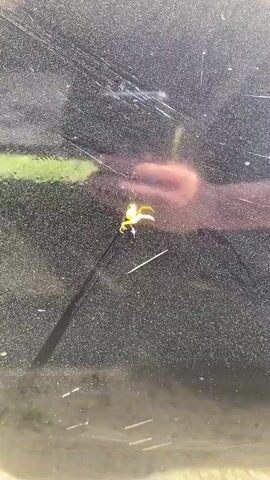 A close-up video shows a small, light-yellow flower with white accents, possibly an orchid, resting on a dark, reflective surface. The surface appears to be scratched. In the background, a person's hand, partially visible, is reflected in the surface, with fingers gently touching or holding the flower. The lighting suggests an outdoor setting with a green area reflected in the background. The video captures the delicate nature of the flower against the textured, possibly metallic, surface.