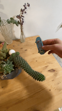 Fingerboard tricks performed in Yekaterinburg evening session