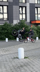 Bike tricks and dogs in a Mytishchi courtyard
