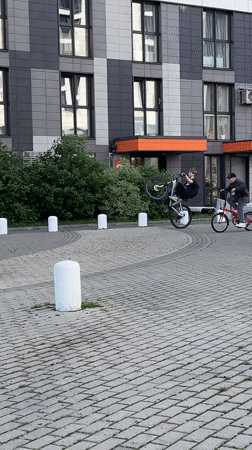 Bike tricks and dogs in a Mytishchi courtyard