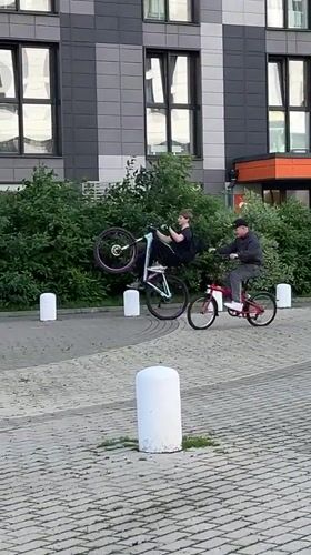 Bike tricks and dogs in a Mytishchi courtyard