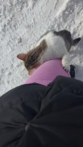A person wearing pink pants and black boots stands on snowy ground. The person wears a black jacket and white nail polish with a pink stripe. A brown and white cat walks around the person's legs. The person pets the cat's back as it walks around.