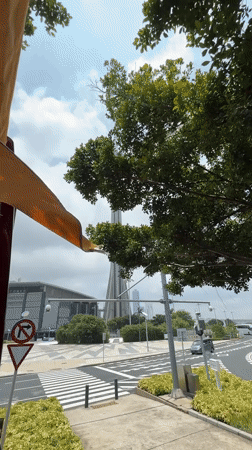 Early morning views of Macau Tower captured from multiple angles