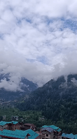 Misty Vashisht hillside village, plus a lone orange slice