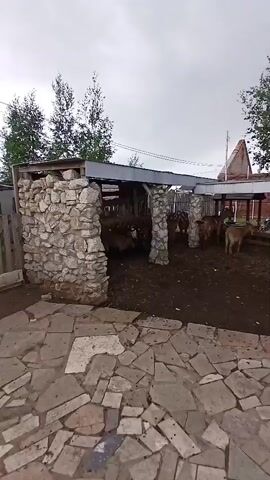 The video shows a herd of goats in a pen. The pen has a roof supported by stone pillars. The ground is covered with dirt. There are trees and buildings in the background. The sky is cloudy. The camera is positioned at a low angle, looking up at the pen. The video is brief, showing only a few seconds of the scene.