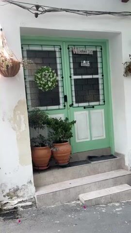 A narrow street with a few houses. The video shows the entrance to a house with a green door and two planters with green plants. The street is paved with asphalt and there are a few potted plants on the side of the road. The video moves to show another house with a dark brown door and more potted plants. The house is painted blue. The video ends showing a house with a dark brown door and blue walls.