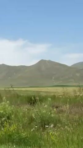 The video shows a landscape with green fields in the foreground, followed by a field of golden wheat. In the background, there are a range of hills. The sky is blue with a few clouds. The camera appears to be moving, possibly from a vehicle.