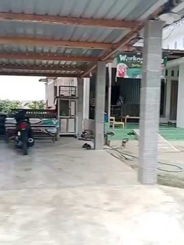 The video begins showing a small building with a sign that reads "Warkop Dewa" and lists various food and drink items. The building appears to be a shop or cafe, with shelves stocked with goods visible inside. A ramp leads up to the entrance. To the right of the building, there is a tree and some vegetation. The camera then pans to the right, moving past the tree and showing more foliage and trees in the background. The scene appears to be an outdoor setting, possibly in a rural or semi-rural area. The video is in landscape orientation and appears to have been filmed with a handheld camera, resulting in some movement and shakiness. The lighting suggests it is daytime.