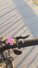 Evening fishing and floral bicycle captured at Chaikovsky waterfront