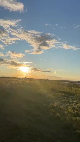 A vertical video captures a golden hour sunset over a grassy field. The sun, partially obscured by clouds, casts warm rays across the landscape. In the distance, a cluster of cars is visible, suggesting a gathering or event. The sky is a vibrant blue, dotted with fluffy white and gray clouds. The field is lush with tall, dry grass, with a hint of water in the far distance.