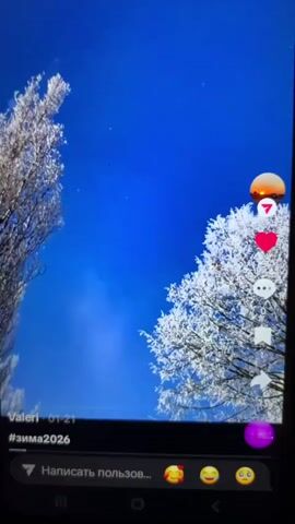 The video displays a bright blue sky with a few faint specks, possibly stars or atmospheric dust, against a backdrop of trees covered in frost or snow. Two trees, one on the left and one on the right, are prominently featured, their branches heavily laden with white frost. The tree on the left appears to be closer and more detailed, while the tree on the right is slightly further away. A portion of what looks like a mobile phone screen is visible at the bottom of the frame, showing a social media interface. On the right side of the screen, there are interactive icons: a circular icon with an orange-red gradient and a number "7" inside, likely representing shares or views, a red heart icon indicating likes, and a speech bubble icon for comments. Below these icons, there's a bookmark icon, possibly for saving the post. At the bottom left of the screen, the username "Valeri" and a timestamp "01:21" are visible, along with the hashtag "#зима2026" which translates to "#winter2026". In the bottom center, a text box reads "Написать пользов..." which means "Write to user...". To the right of this text box are several emoji icons, suggesting options for adding reactions to the post. A purple circular icon is present on the bottom right of the screen, its function unclear. The overall scene evokes a crisp winter atmosphere.