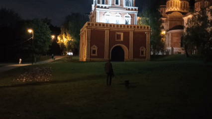 Evening dog walk captured in illuminated Moscow park