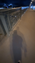 Evening bridge walk captures illuminated Saint Petersburg cityscape