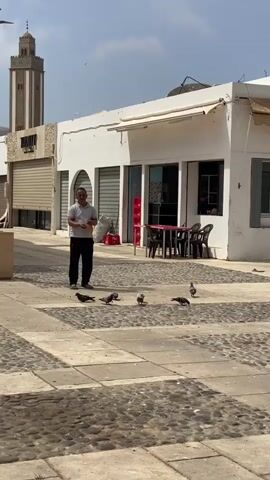 A man stands in a cobblestone plaza in front of a white building with shops and outdoor seating. He is wearing a light-colored t-shirt and dark pants. Several pigeons are gathered on the ground around him. The man is holding something in his hands, and the pigeons appear to be waiting for him to drop it. In the background, a tall, slender tower with a decorative top, likely a minaret, rises against a hazy sky. The scene suggests a public space where people interact with local wildlife.