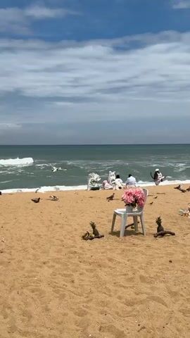 A group of people dressed in white are gathered on a sandy beach near the ocean. They appear to be sitting and interacting with a flock of pigeons and other birds that are present on the sand. In the foreground, a white chair holds a bouquet of pink flowers, and further in the sand, two pineapples and a piece of driftwood are visible. The ocean waves are breaking on the shore under a cloudy sky.