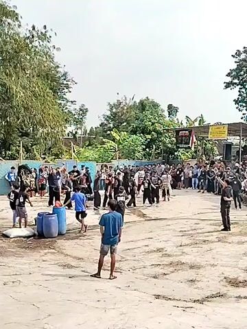 This media file depicts an outdoor event taking place in a dirt lot, likely in Gentungan, Indonesia. The scene is filled with people, with a large crowd gathered on the right side, seemingly observing an activity in the center. The time of day appears to be daytime, with bright sunlight suggesting clear weather.

In the foreground, a person wearing a blue t-shirt and shorts stands facing away from the camera, observing the events. To their left, there are several large blue barrels.

The central area features a group of people dressed in black attire, some of whom appear to be performers or participants in a ceremony or parade. They are moving in a line, with some carrying what might be props or cultural artifacts. The crowd on the right is densely packed, indicating significant interest in the ongoing event.

In the background, there is lush greenery, including trees and banana plants, typical of a tropical or subtropical environment. A blue fence runs across the middle ground, separating the area where the main activity is happening from the spectator area. There are also some structures visible in the background, including what looks like a stage or platform with banners and flags, one of which is red and white, possibly the Indonesian flag.

One banner on the right side of the image contains yellow text, but it is too blurry to read. The overall atmosphere seems lively and engaged, with the crowd's attention focused on the central action. The presence of traditional attire and the gathering of many people suggest a cultural celebration or community event.