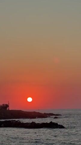The video shows a sunset over the ocean. The sun is a bright red orb partially obscured by the horizon. The sky is a gradient of orange and yellow. There are rocky outcrops in the foreground and on the left side of the image, with some vegetation on the land. The water is choppy and appears dark. There are faint white objects in the water that could be waves or debris.