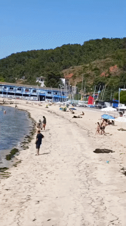 Setúbal seafront: packed beach, pine trees, and a navigator's statue