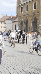 Afternoon scenes from Krakow's historic Main Market Square
