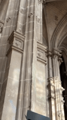 Parisians document cathedral interiors and domestic moments across city