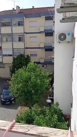 The video pans across an urban environment, showing multiple apartment buildings, parked cars, trees, and a clear sky. In the foreground, a portion of a balcony railing is visible. The camera moves from right to left, revealing a black car parked on a paved area, a large green tree, and the facade of a yellow and blue apartment building. Further left, another building with a corrugated roof is seen. The camera continues to pan, showing more apartment buildings in the background and a fence along a narrow pathway. A bird is seen flying in the distance. The overall impression is that of a residential area on a sunny day.