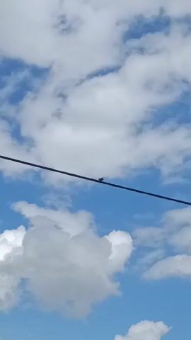 A close-up, low-angle shot captures a bird perched on a dark wire against a backdrop of a bright blue sky filled with scattered white clouds. The bird is small and appears dark in color. The wire is angled diagonally across the frame from the upper left to the lower right. The clouds are puffy and white, some appearing larger and more detailed than others. The lighting suggests it is daytime with clear weather.
