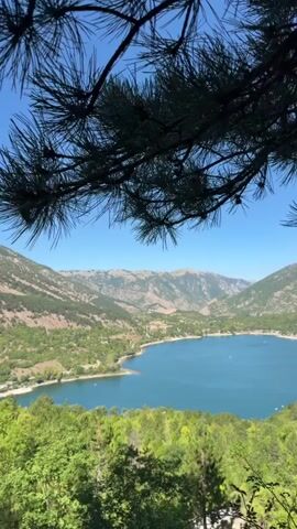 A drone shot shows a view of a lake surrounded by mountains and trees on a sunny day. The camera is looking down from above the trees, with branches of a pine tree in the foreground. The lake is a deep blue color, and the mountains are covered in green trees. The sky is clear and blue.
