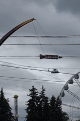 Saint Petersburg waterfront park: rides, boats, and wildlife