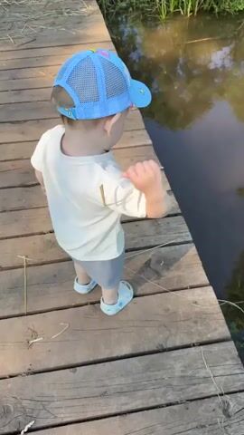 A young child wearing a light-colored t-shirt, gray shorts, a blue baseball cap, and sandals stands on a wooden boardwalk. The child is facing away from the camera, looking at a body of water to their right. The boardwalk is made of weathered wooden planks. To the right of the boardwalk is a calm body of water with reflections of the sky and surrounding vegetation. Green reeds and grass are visible along the edge of the water. The child picks up a thin stalk of grass and appears to be interacting with it, possibly dipping it into the water. The child then squats down briefly before standing up again. The scene is outdoors, in natural light, suggesting a warm day.