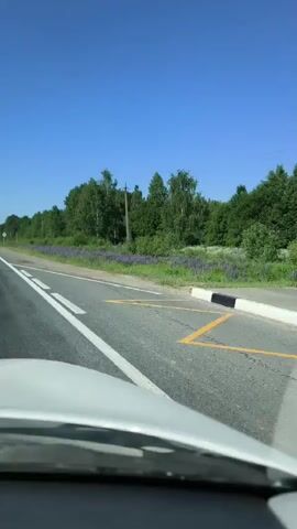 The video shows a view from inside a vehicle, looking out the windshield. A paved road with white lane markings is visible. To the right of the road is a grassy shoulder lined with a field of purple flowers, followed by a dense line of green trees. A utility pole stands among the trees. The sky is clear and blue. The vehicle appears to be moving forward, as evidenced by the shifting perspective.
