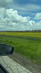 Rural drive captured on video in Zornitsa, Bulgaria