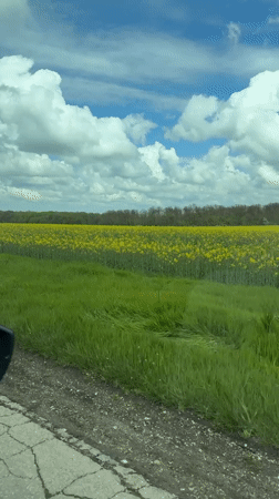 Rural drive captured on video in Zornitsa, Bulgaria