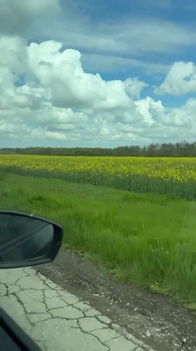 Rural drive captured on video in Zornitsa, Bulgaria