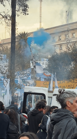 Political demonstration with flags observed in Buenos Aires
