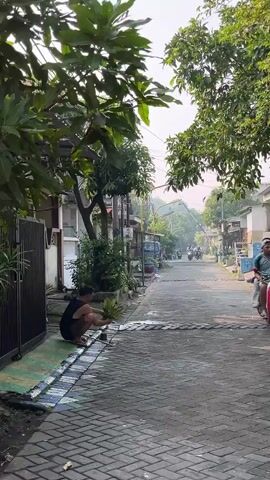 A man is kneeling on the side of a paved alleyway, tending to a potted plant. He is wearing a dark tank top and shorts. The alley is lined with houses and trees. Sunlight filters through the leaves of the trees, casting dappled shadows on the ground. In the background, several motorcycles are parked on the side of the alley. The man appears to be watering or repotting the plant.