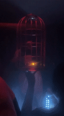 Fire-filled birdcage displayed at Abuja nightclub