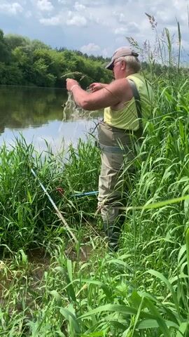 A man wearing waders and a hat stands at the edge of a river, holding a fishing net. He is surrounded by tall green grass and reeds. The river is calm and reflects the sky and trees on the opposite bank. The weather is sunny with some clouds.