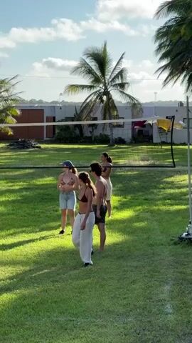A group of eight young people are playing volleyball on a grass lawn. There is a net set up, and the group is divided into two teams. The people are dressed in casual summer clothing, some in swimwear. Palm trees surround the grassy area. Behind the players is a building with a white facade and a red roof. The sky is blue with scattered clouds.