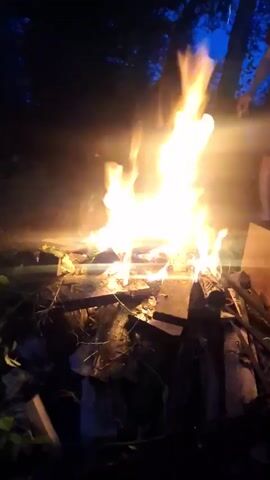 The media file shows a campfire at night. The flames are bright orange and yellow, illuminating the surrounding area. The fire is built on a collection of wooden planks and debris. In the background, silhouetted trees and dark foliage indicate a wooded or natural setting. The sky is a deep blue, suggesting it is either twilight or night. A person is partially visible on the right side of the frame, standing near the fire. They are holding something in their right hand, possibly a cigarette or a stick, and appear to be wearing shorts. The overall mood is one of calm and relaxation, typical of an evening spent around a campfire. The setting seems to be outdoors, possibly in a backyard or a campsite in Dachnaya, Russia, given the context. There is no visible text in the media file.