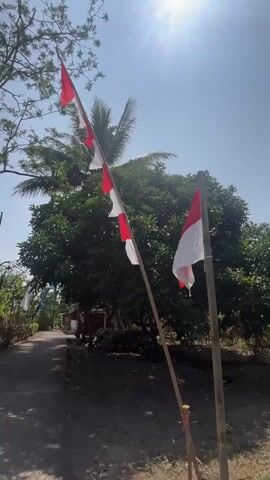 A low-angle shot shows two flags on poles in an outdoor setting. The flag on the right is the Indonesian flag, with red on top and white on the bottom. The flag on the left is also red and white, but it appears to be composed of smaller sections. It is possible that this is also the Indonesian flag, or a variation of it. The flags are positioned in front of a dirt path and lush green trees. The sky is bright blue with the sun shining through the leaves, creating a lens flare effect. The overall atmosphere is one of natural beauty and possibly national pride.