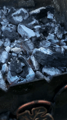 Outdoor grilling scene observed in Kharkiv