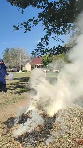 The video shows a young woman in a blue hijab and a blue coat standing in a grassy area. She is holding a clear plastic bag in her left hand and appears to be adding dry leaves or grass to a small fire. The fire is producing a large amount of white smoke. In the background, there are trees, a building, and a clear blue sky. The overall scene appears to be outdoors, possibly in a school or community area.