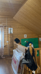Black cat spotted in rustic wood-paneled attic space