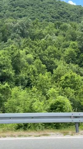 The video shows a view from a vehicle traveling along a road. The road has a metal guardrail in the foreground. The landscape is mountainous and heavily forested with lush green trees. A few houses and buildings are visible nestled among the trees on the slopes. The sky is blue with some white clouds. In the latter part of the video, a red SUV and a black vehicle are seen on the road. The terrain includes rocky outcrops on the hillside.
