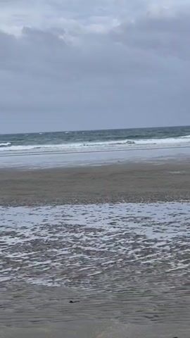 This media file captures a serene, overcast day at a beach in Clonakilty, Ireland. The scene is dominated by the muted tones of a cloudy sky meeting the churning, grey-green sea. Gentle waves roll towards a wide expanse of wet sand, reflecting the sky and creating a textured foreground.

The beach itself appears to be a mix of sand and shallow pools left by the receding tide, with subtle patterns imprinted on the sand from the water's movement. In the background, rugged, dark grey cliffs rise, partially covered in vibrant green moss and vegetation, hinting at the lush Irish landscape. Some rocky outcrops, also covered in moss, are visible closer to the shore, adding to the wild, natural beauty of the location.

There are no people or specific objects visible in the footage, emphasizing the natural and unpopulated feel of the scene. The time of day is suggested to be daytime due to the natural light, but the overcast conditions create a diffused, somewhat moody atmosphere. The overall emotion conveyed is one of quiet contemplation and the raw, untamed beauty of the Irish coast. No text is visible in the media file.