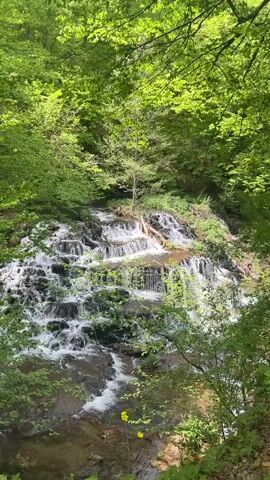 The video shows a tiered waterfall cascading through a dense, green forest. Sunlight filters through the tree canopy, illuminating the water as it flows over the rocks. The scene is natural and undisturbed, with lush vegetation surrounding the waterfall.  The shot is static, offering a clear view of the water's movement and the surrounding foliage.