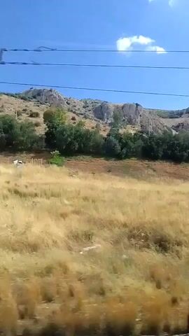 A first-person perspective video shows a dry, grassy hillside with scattered trees. In the background, rocky hills rise under a clear blue sky with some clouds. A white building with a dark roof is visible on the hillside, along with some other structures that appear to be recreational vehicles or camper vans. The camera is moving, suggesting the video was taken from a vehicle. The scene is bathed in bright sunlight, indicating it is daytime.