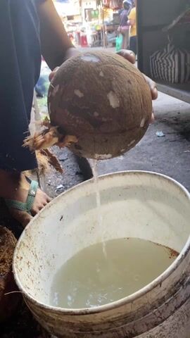 A person is draining water from a mature coconut into a white bucket. The person is wearing dark blue pants and light green flip-flops. The coconut is brown, round, and still has some husk attached. Water is pouring out of a small hole in the coconut into a white bucket that already contains some water. The scene appears to be set in an outdoor marketplace, with other people walking around in the background and various goods visible. The ground is concrete.