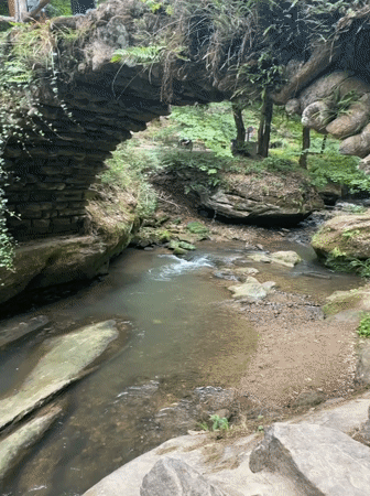 Afternoon at a forested waterfall and stream in Luxembourg