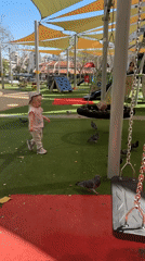 Toddler plays with pigeons on Petah Tikva playground
